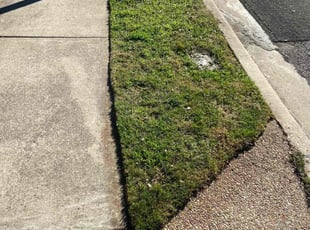 William I.'s Lawn Care service result