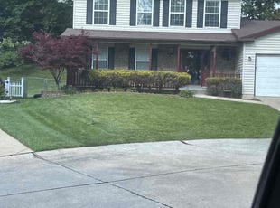 Deanna N.'s Lawn Service service result