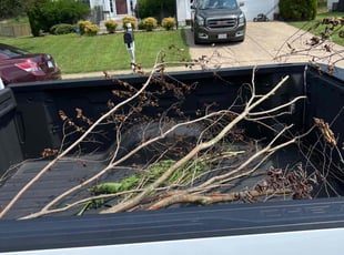 Cleanups by Kamrin Jackson for Tammy P. in Fredericksburg, VA