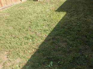 Weeding by Kevin Mills for Renee D. in Arvada, CO