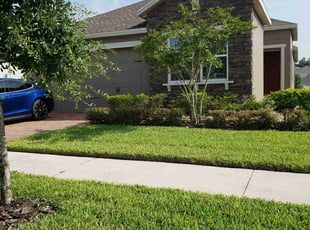 Bush Trimming by Minh Duong for Ashley W. in Ocoee, FL