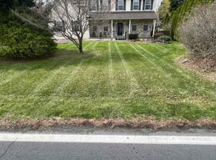 Mark S.'s Lawn Care service result