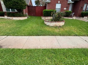 Daryna V.'s Lawn Care service result