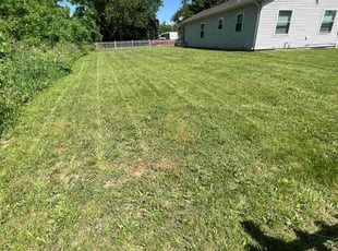 Lori S.'s Lawn Mowing service result
