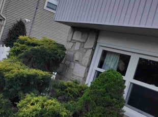 Bush Trimming by Brian Lee for Ivan S. in Burlington, NJ
