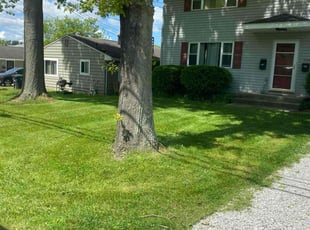 Sherquita R.'s Lawn Maintenance service result