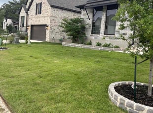 Stacie S.'s Lawn Mowing service result