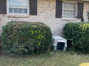 Bush Trimming by Jose Rodriguez for Harold J. in Nashville, TN