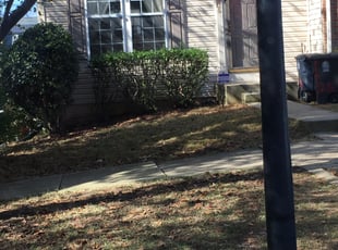 Bush Trimming by Shawn Stewart for Damaris L. in Clinton, MD