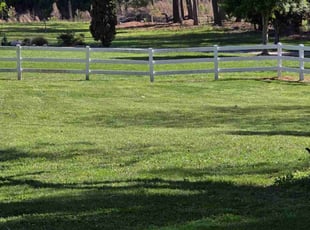 Jean S.'s Lawn Care service result