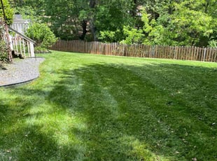 Bryan E.'s Lawn Mowing Service service result
