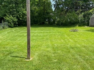 Nicole D.'s Lawn Maintenance service result