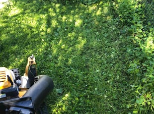 Cleanups by John McCardle for Robin P. in Milwaukee, WI