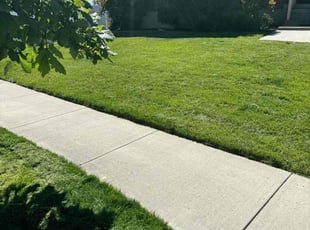 Nichole B.'s Grass Cutting service result