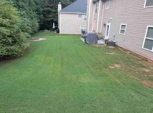 Laurel S.'s Lawn Care service result