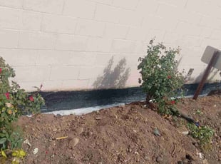 Bush Trimming by Zachary Burney for Alison R. in Cincinnati, OH
