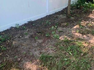 Cleanups by Abigail Soriano for Vanessa G. in Brick Township, NJ