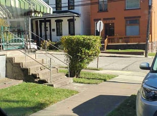 Reina M.'s Bush Trimming service result