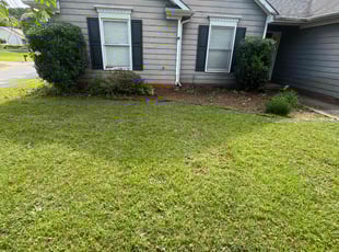 Bush Trimming by Beau Pais for Chris C. in Greensboro, NC