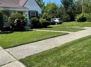 Jayson W.'s Lawn Care service result
