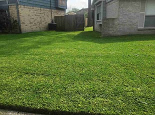 Carrie B.'s Lawn Mowing service result