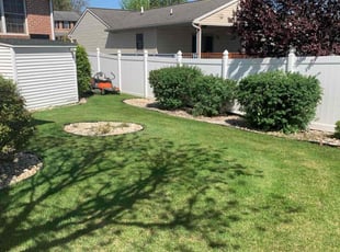 Audrey F.'s Yard Cutting service result