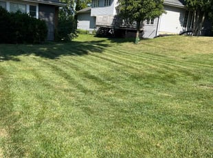 Andy P.'s Lawn Care service result