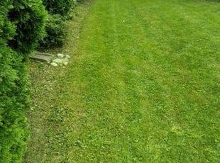 Eric C.'s Lawn Care service result