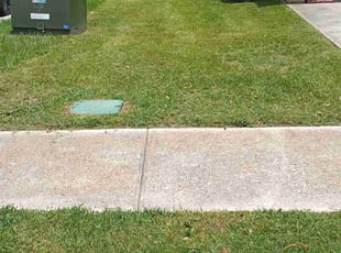 Claudelle P.'s Lawn Care service result
