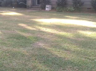 Leaf Removal by Danny Vanlandingham for Hernane R. in Jackson, MS