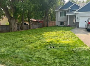 Patricia E R.'s Lawn Service service result