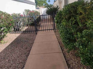 Bush Trimming by Raul Blanco for Gail H. in Gilbert, AZ
