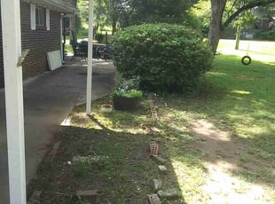 Bush Trimming by Ronaldo Hinton for Jessie D. in Bessemer, AL
