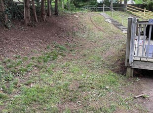 Leaf Removal by Carlos Portillo for Richard A. in Waldorf, MD