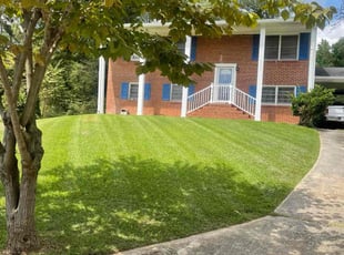 Latrisha M.'s Lawn Care service result
