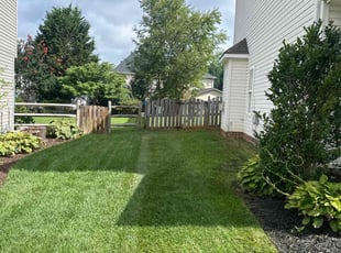 Kevin P.'s Lawn Care service result