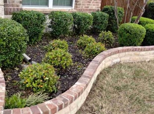 Bush Trimming by John Brown for Veronica S. in McKinney, TX