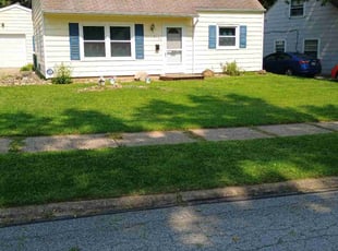 Lauren R.'s Lawn Mowing service result