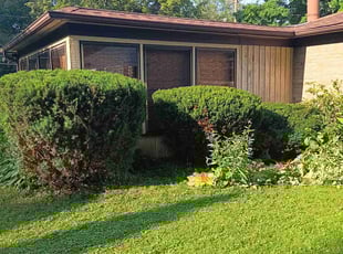 Bush Trimming by Joshua Barry for Diana L. in Rockford, IL