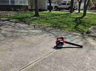 Juan C.'s Lawn Mowing service result