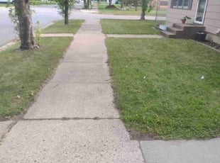 Natasha S.'s Lawn Mowing service result