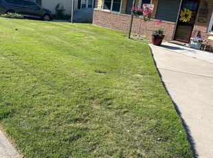 Patrick P.'s Yard Cutting service result