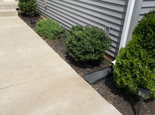 Bush Trimming by Chris Thomas for Sarah R. in Chesterfield, VA