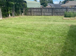 Krishanda G.'s Lawn Maintenance service result
