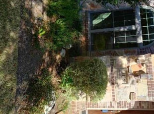 Bush Trimming by Jesus Cepeda for Cindy E. in Round Rock, TX