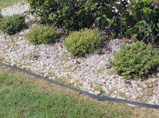 Weeding by tracy garrison for Sanjeev R. in Newnan, GA