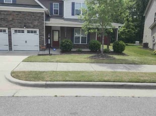 Yevonne C.'s Yard Cutting service result
