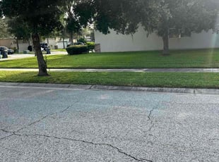 Barbara M.'s Lawn Service service result