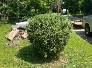 Bush Trimming by Judah Manus for Samantha D. in Cowarts, AL
