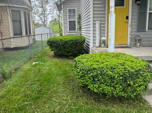 Bush Trimming by Aaron Sparks for Michael H. in Indianapolis, IN